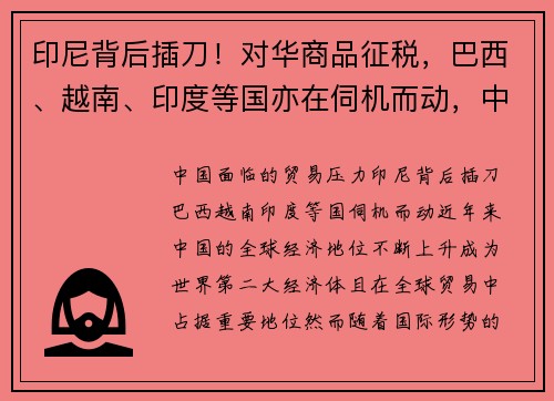 印尼背后插刀！对华商品征税，巴西、越南、印度等国亦在伺机而动，中国面临何种贸易压力？