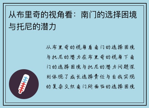 从布里奇的视角看：南门的选择困境与托尼的潜力